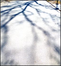 Bilder März 2011 006.jpg