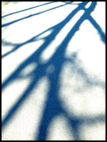 Bilder März 2011 011.jpg