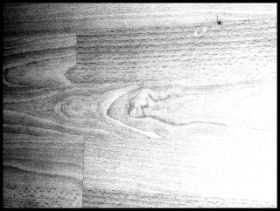 Bilder März 2011 014.jpg