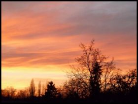 Bilder März 2011 021-1.jpg