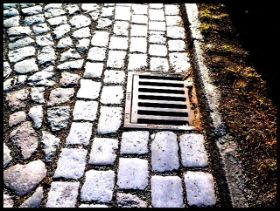 Bilder März 2011 024.jpg