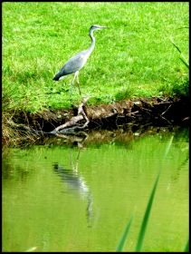 Sommer 2011 Konstanz Altstadt 018.jpg